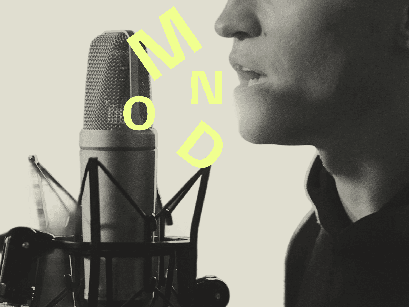 Custom Transcription System